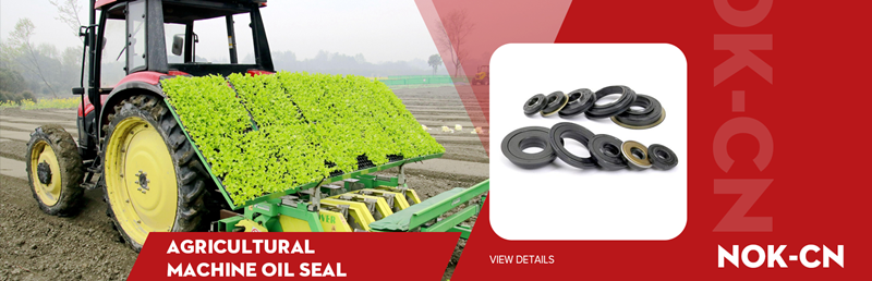 Research And Investigate The Best-selling Oil Seal Product Categories on The Market