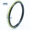 110*126*9/12 Dkb Oil Seal Dust Wiper Seal for Hydraulic Seal Construction Machines seal