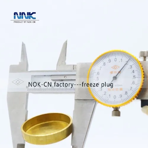 Tapón anticongelante NNK de 36 mm para BMW - Tapón de expansión de hierro/latón/acero 11111717939