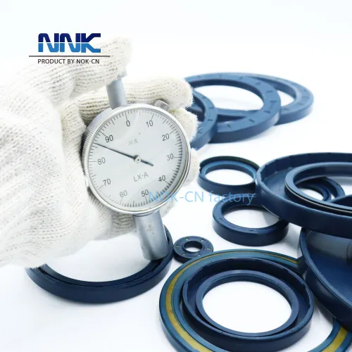 NNK 95*170*12 Germany BABSLHydraulicPressure Oil Seal