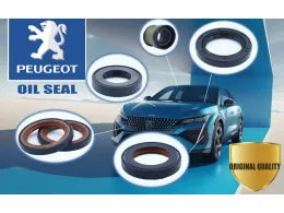A Few Things You Should Know About VISIUN Oil Seal