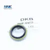 DKB Wiper Seal Hydraulic Cylinder DKB Oil Seal 32*44*7/10