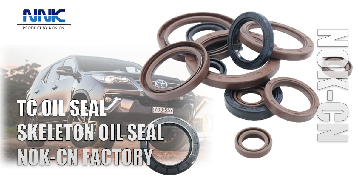 48*62*8/13 Double Lip Nitrile Rotary Shaft Oil Seal with Spring Metric