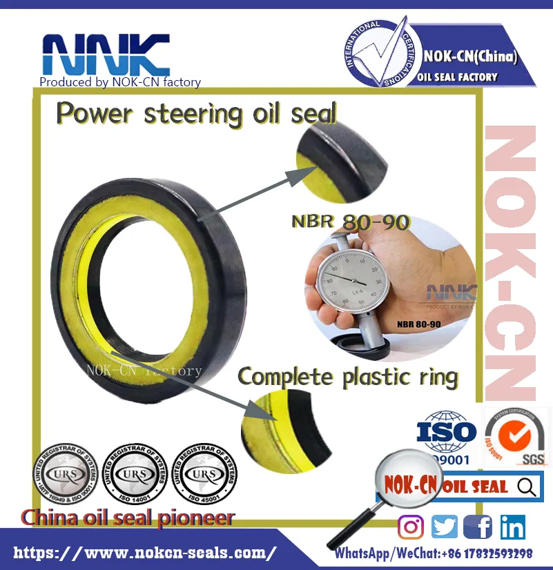 Power steering seals NNK