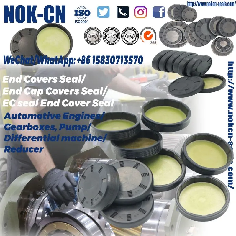 Product introduction of EC End cap seal - what is EC  End Cover Seal?