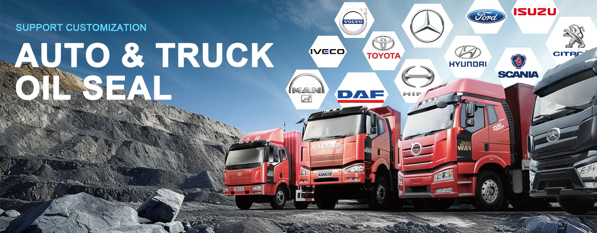 Truck Oil Seal: What You Need to Know