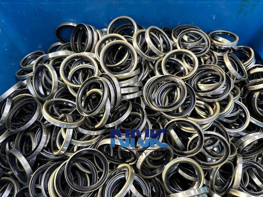 What Treatment Will Be Done On The Surface Of iron Shell Oil Seal