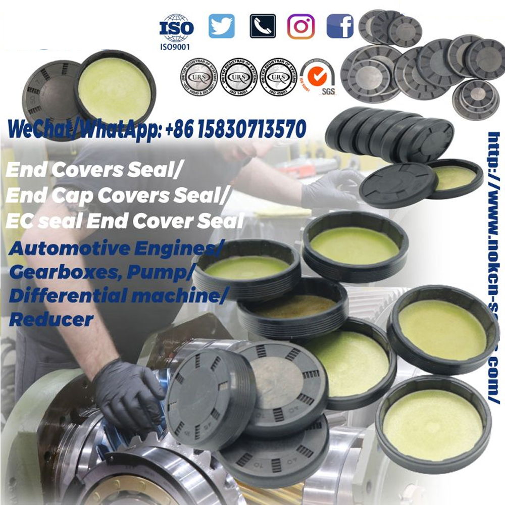 Product introduction of EC End cap seal - what is EC End Cover Seal?