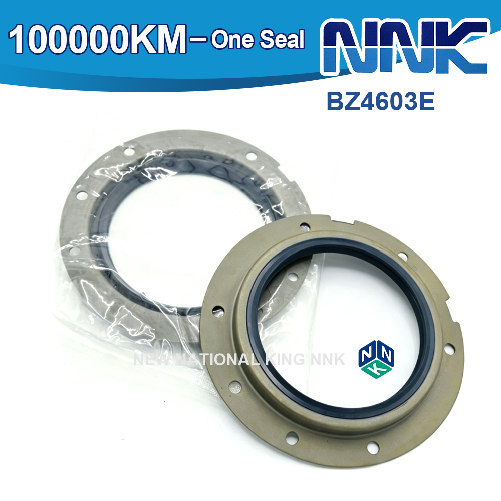 BZ4603E Rear Crankshaft Seal For Mitsubishi 100*124*13.3