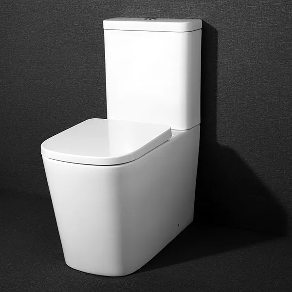 Premium Sanitaryware Collection