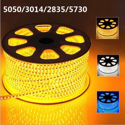 60 Ledm high lumen 110V220V waterproof SMD 5050 Chips rope, 100m flat led strips