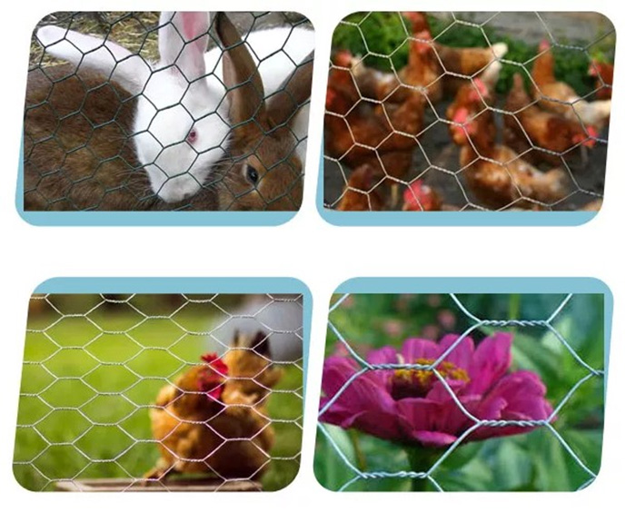 Chicken Wire Mesh,chicken wire,chicken mesh price,chicken wire fence