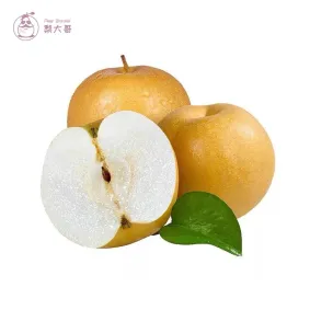 Yuanhuang Pear / Chinese Fresh Pears