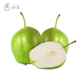 Early Crispy Pear / Chinese Fresh Pear