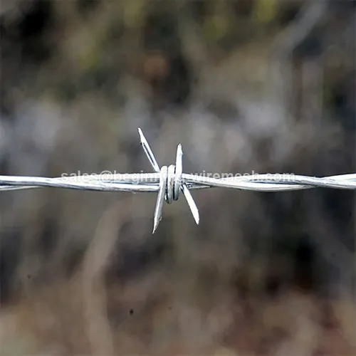 Filo spinato galvanizzato per recinzioni, rete metallica Razor