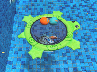 Creative Designs of Pool Toys