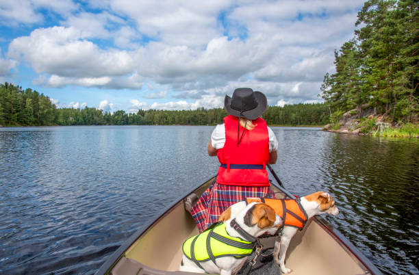 Do Your Dog Need a Swim Vest?