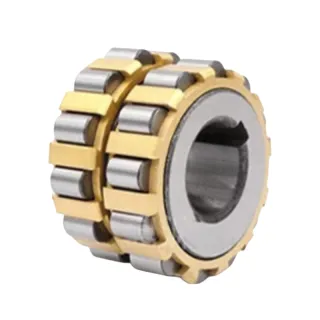 RN Series eccentric Cylindrical roler bearings single row and double rows