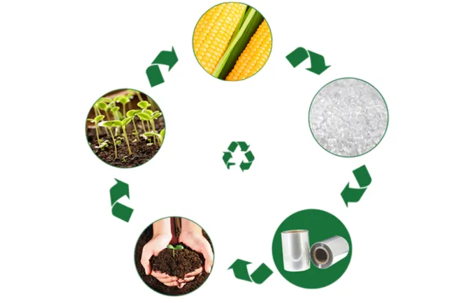 Recyclable VS Biodegradable VS Compostable