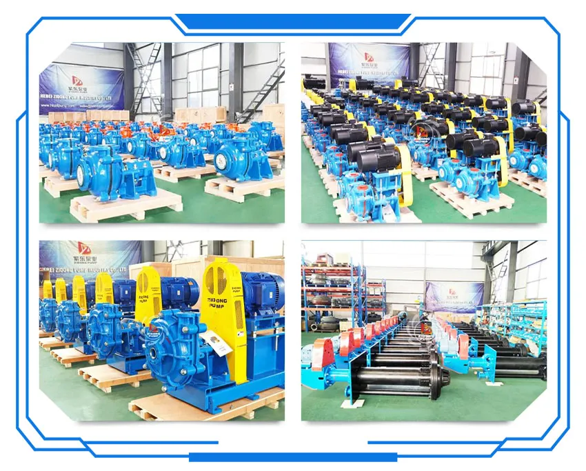 Philippine customers visit Zidong Pump new factory to inspect pump products