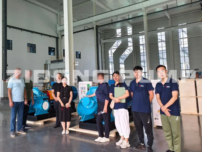 American customers visit Zidong factory