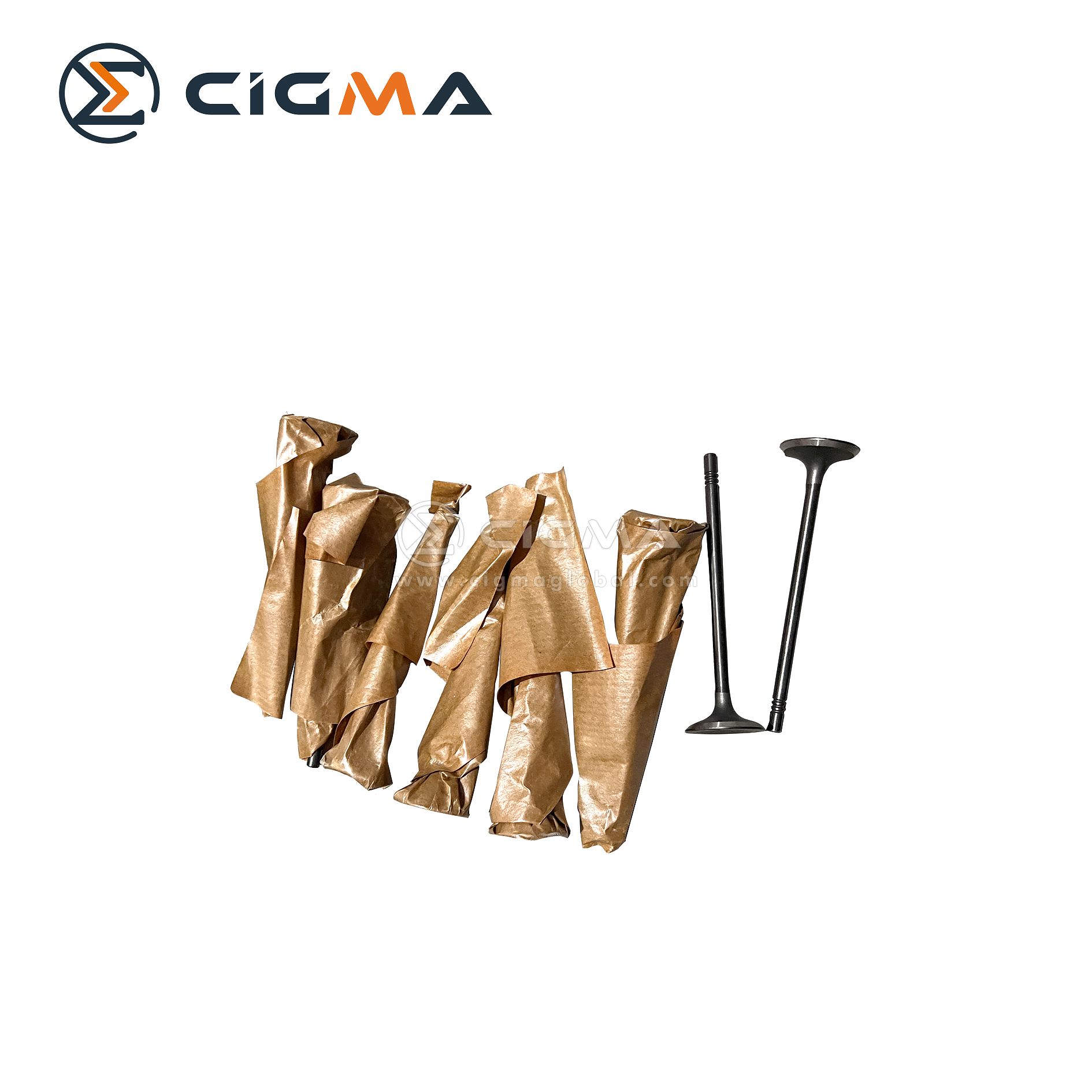 exhaust valve,exhaust cutout valve,mghs