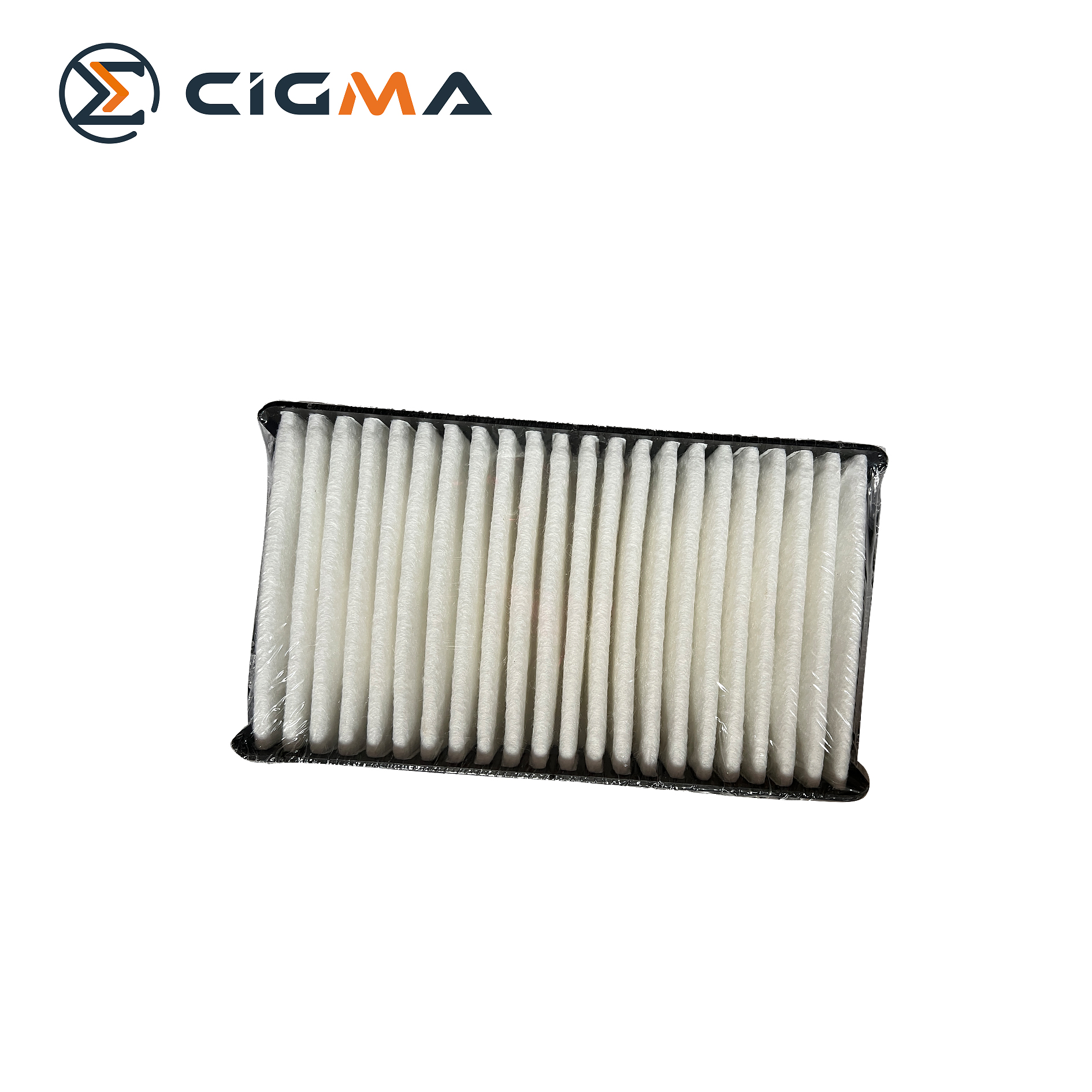 SHINERAY T20 Air Filter 1109113-JB060-A000000