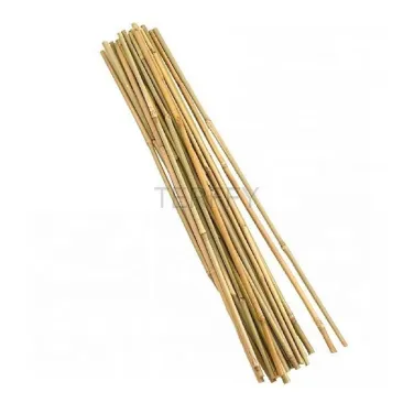 Bamboe paal