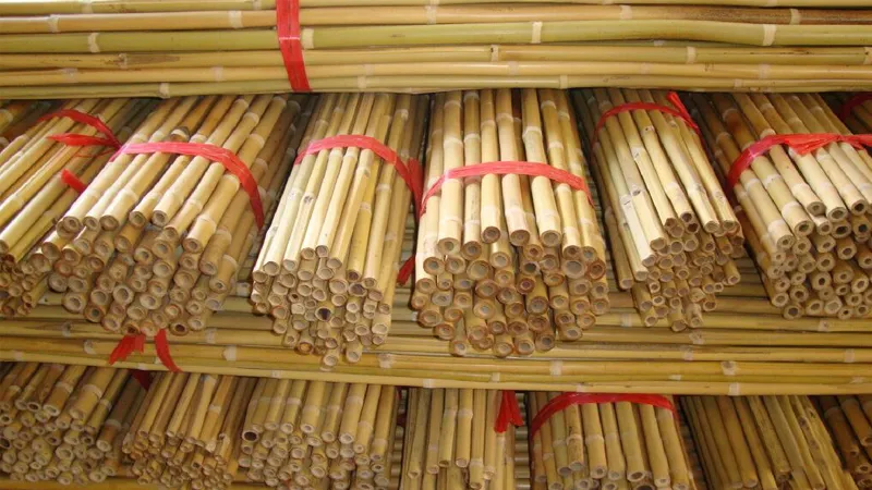Bamboo Poles Wholesale