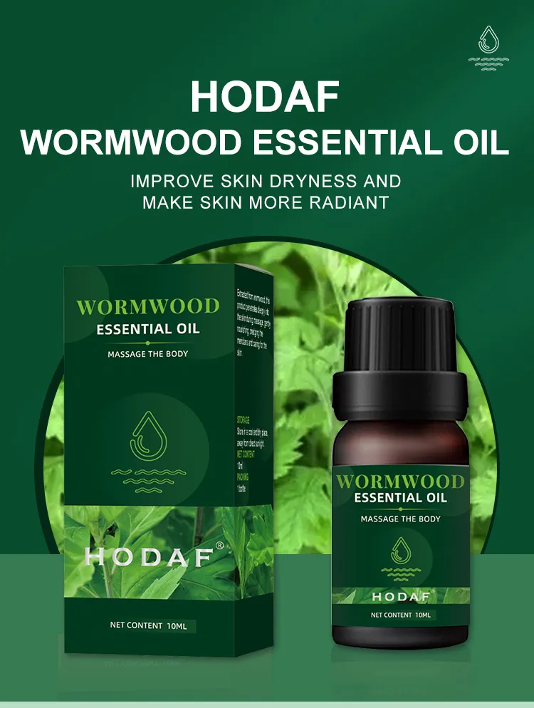 Natural Plant Wormwood Aroma Essential Oil