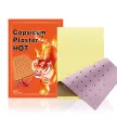 Capsicum Plaster HOT