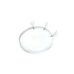 Eyelash Extension Silicone Easy Fan Use Blooming Patch