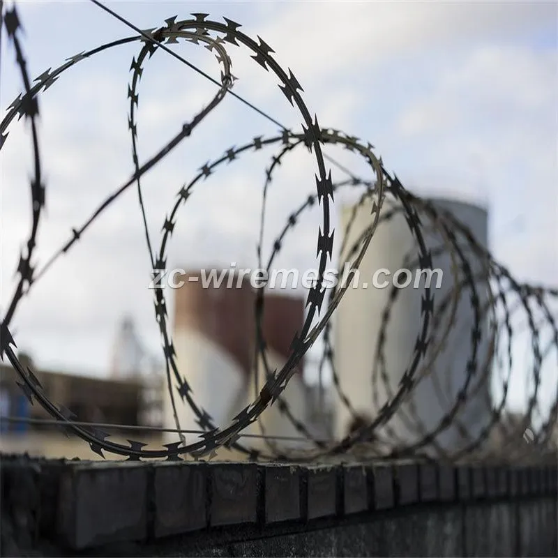 CBT-16 1100mm clips diameter galvanized ss concertina razor wire