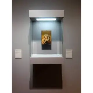These glass display cases are ideally suited for use in art galleries and museums because of their outstanding strength and great security.