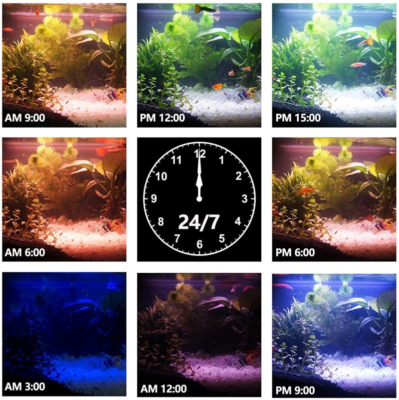 Rgb SMD2835 Aqua Beauty Lighting Programmable Freshwater Planted Full Spectrum Led Aquarium Lights With Controller