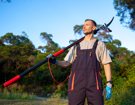 Telescopic Tree Pruner