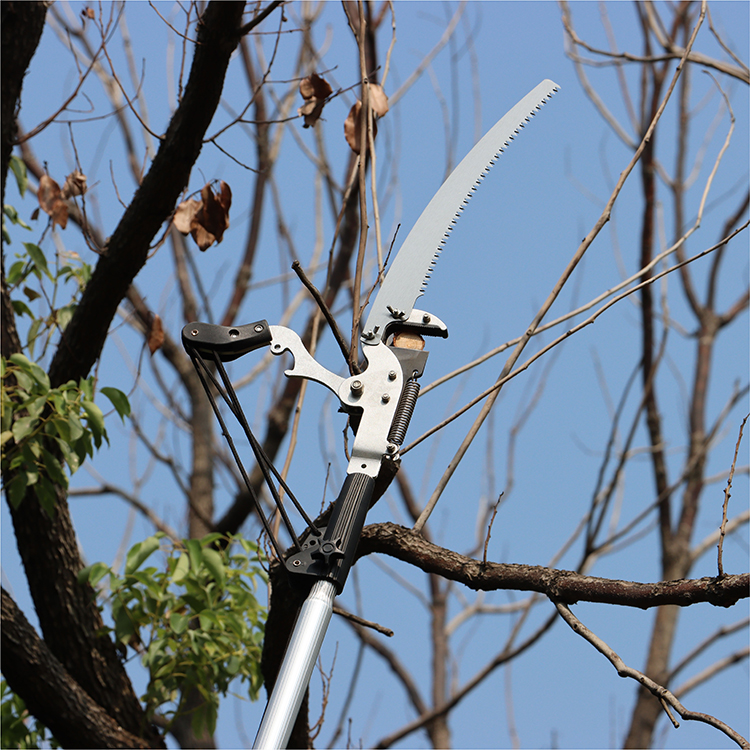 Extendable saw for cutting shop tree limbs