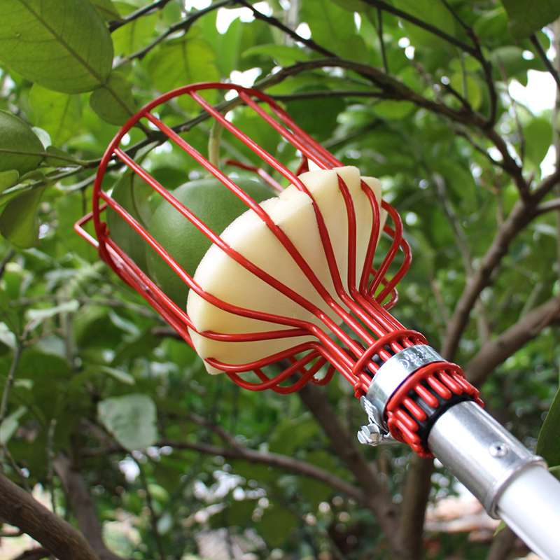 Telescopic Fruit Picker