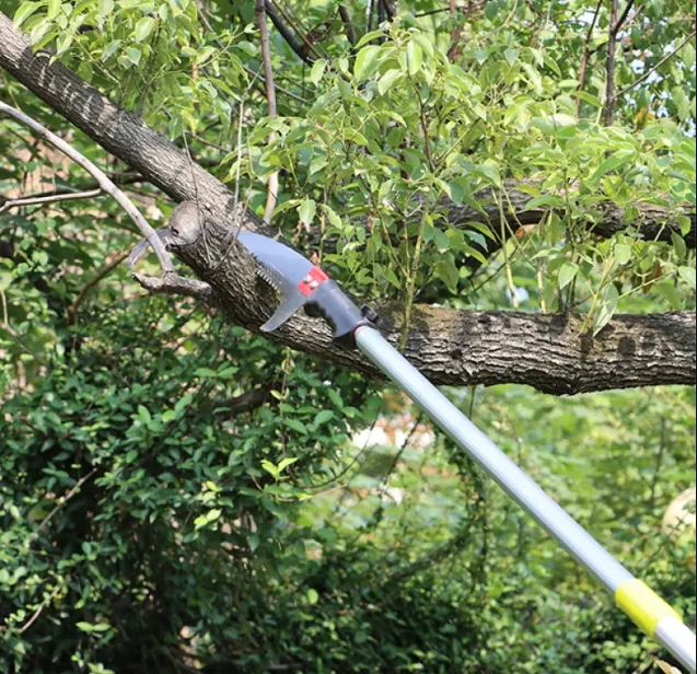 Extension Pole Branch Cut 