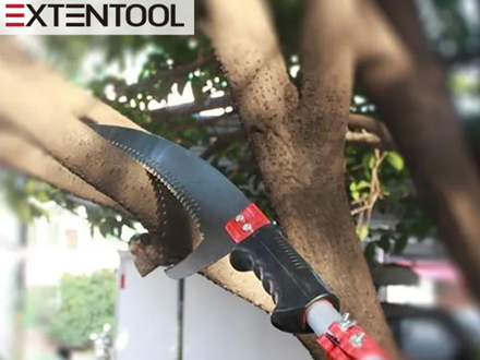 How to Cut Tree Branches with a Pole Saw?