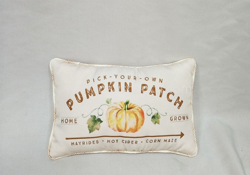 Thanksgiving Pumpkin Pillow, Thanksgiving Pillow