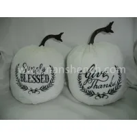 Velvet Embroidery Thanksgiving Pumpkins