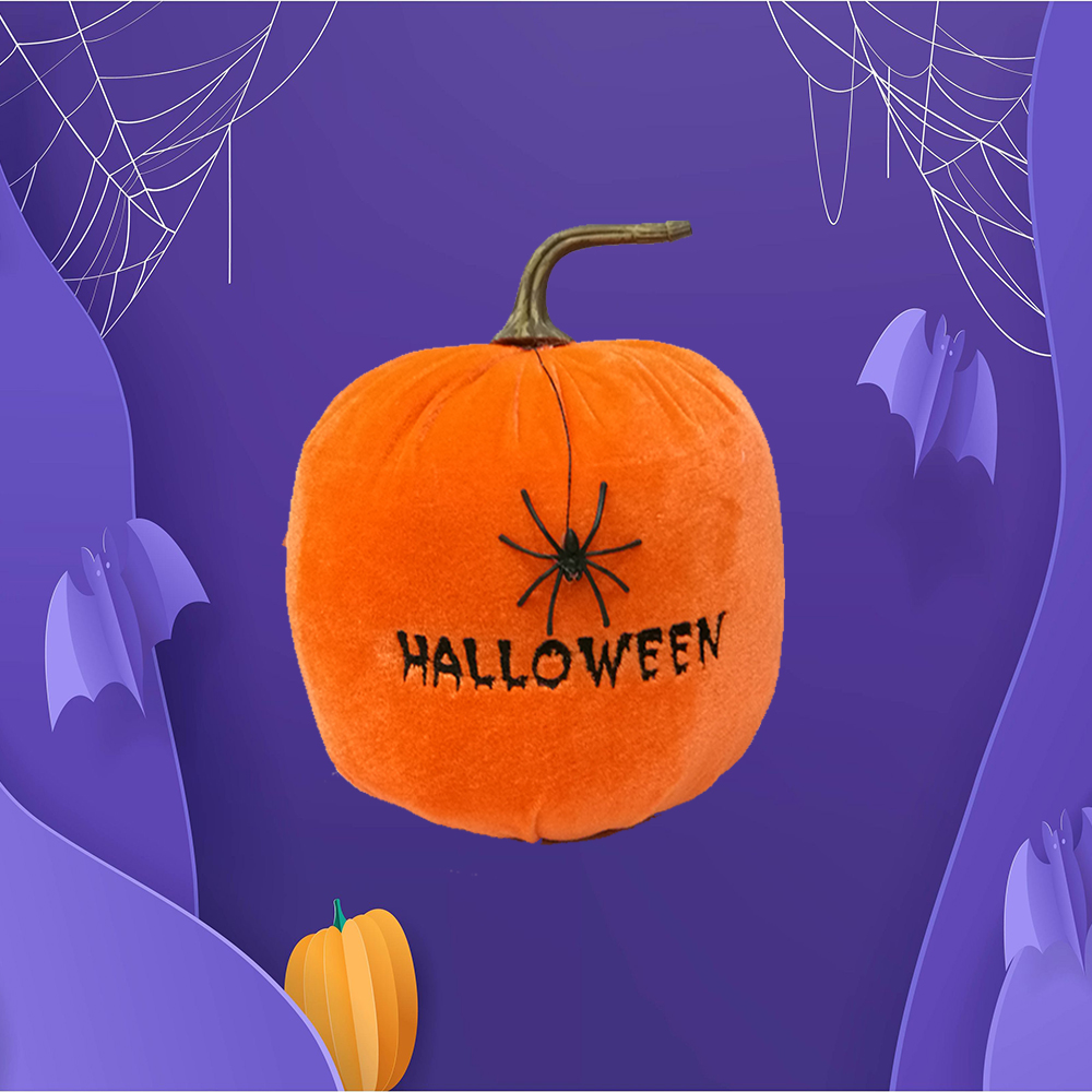 Halloween Spider Pumpkin