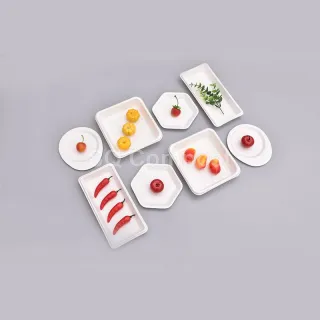 Special-Shaped Bagasse Tray
