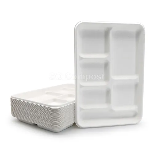 Square Bagasse Tray with 6-Compartment