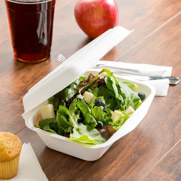 9×6in Biodegradable Clamshell 1-CP