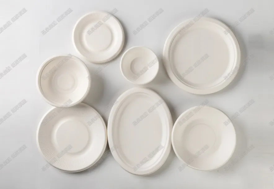 Round Bagasse Plates