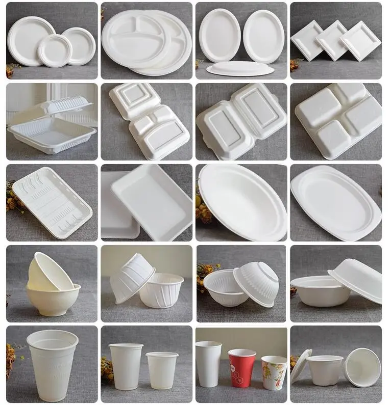 What Is Bagasse Tableware Business and Its Importance in Our Life