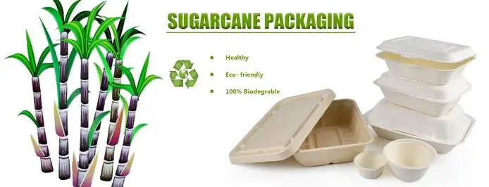 The difference between cornstarch tableware and sugarcane pulp tableware