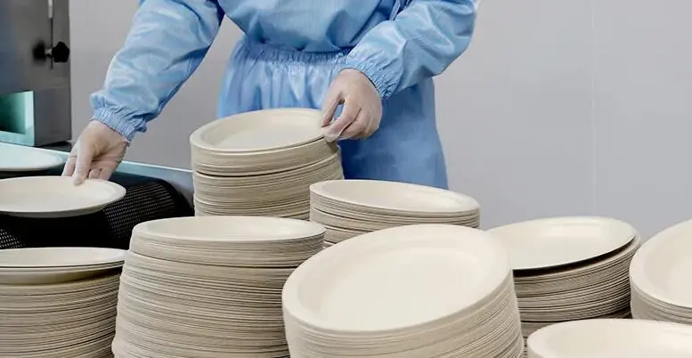 Why is bagasse best for tableware products?